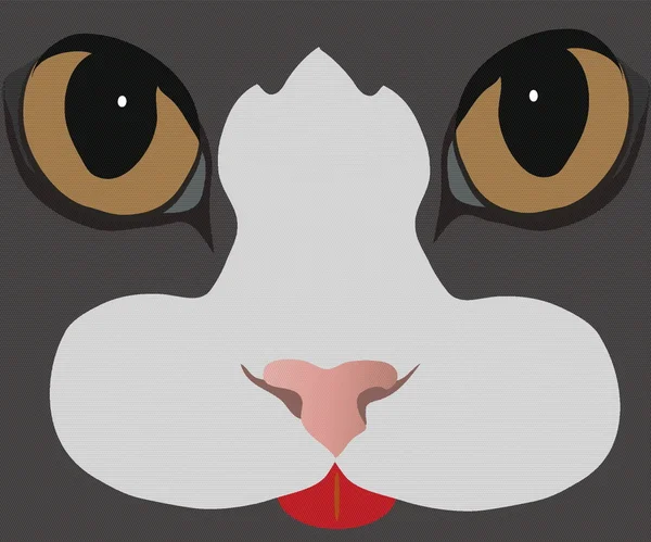 Cat 's-eyes — стоковый вектор