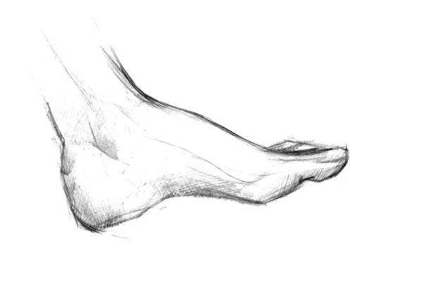 Fuß — Stockfoto