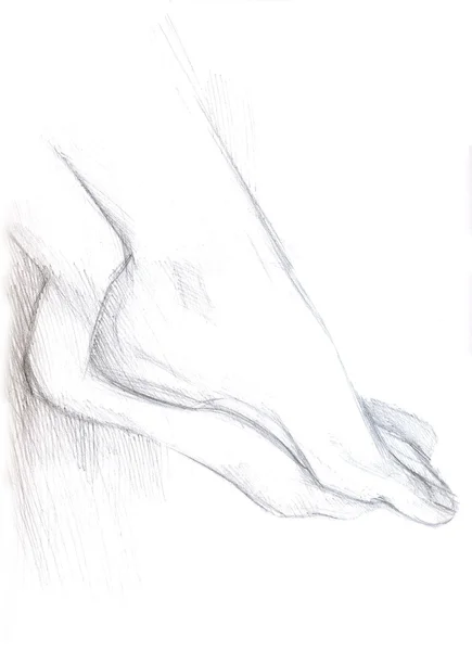 Pieds de pieds — Photo