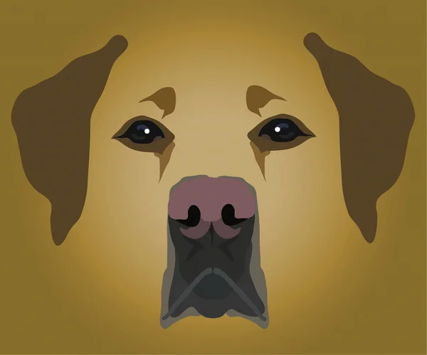 Морда собаки — стоковый вектор