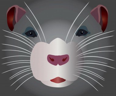 Grey rodent clipart