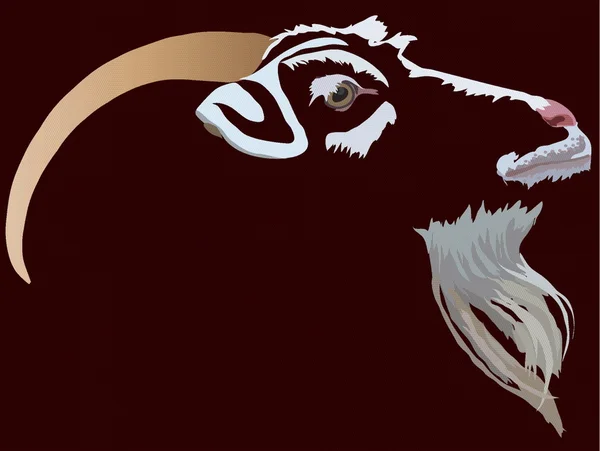 Chèvre sur fond noir — Image vectorielle