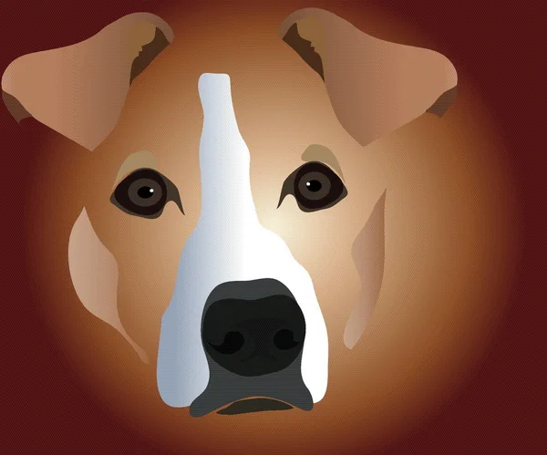 Museau de chien — Image vectorielle