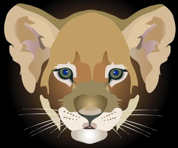 Lion ourson — Image vectorielle