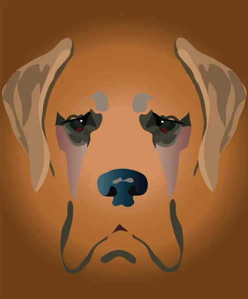 Sorglig hund — Stockfoto