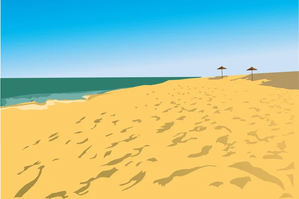 Plaży i dwa grzyby — Zdjęcie stockowe