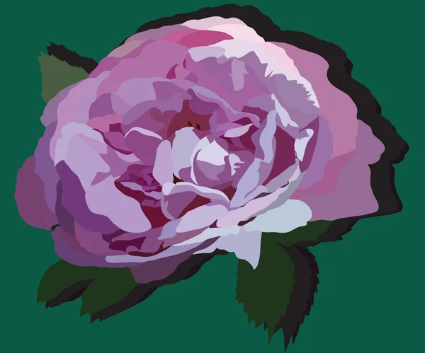 Бутон розы — стоковое фото