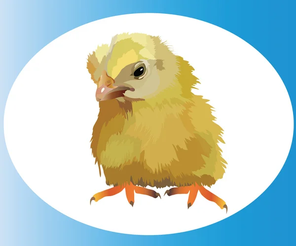 Uma galinha está em um ovo — Vetor de Stock