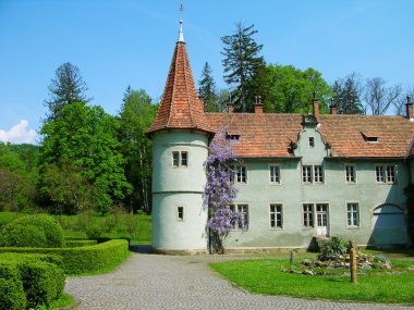 Shenborn castle, Carpathians, Ukraine clipart