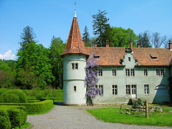 Schenborner Burg, Karpaten, Ukraine — Stockfoto