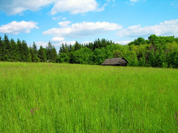 Zielona łąka w górach — Zdjęcie stockowe