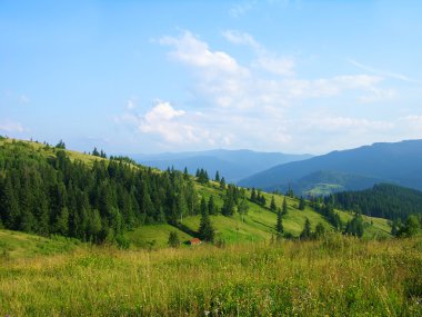 Summer in Carpathian mountains, Ukraine clipart