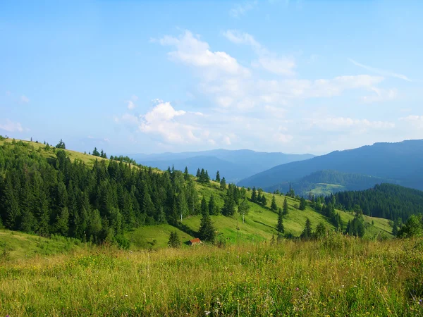 乌克兰喀尔巴阡山的夏季 — 图库照片
