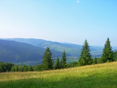 Carpathian mountains, Ukraine clipart