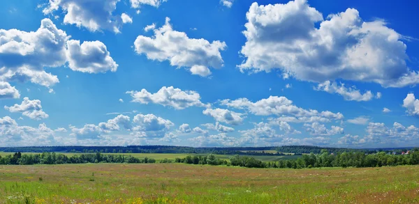 Sommer-Panoramalandschaft — Stockfoto