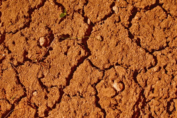 Suelo seco — Foto de Stock