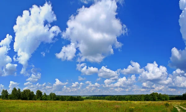 Letní panorama krajiny — Stock fotografie