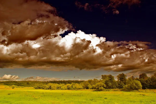 stock image Spring landscape