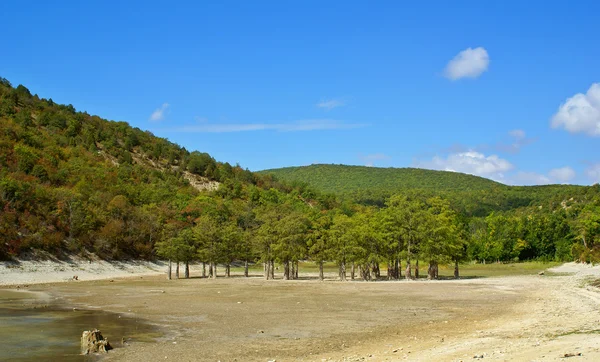 stock image Summer landscape