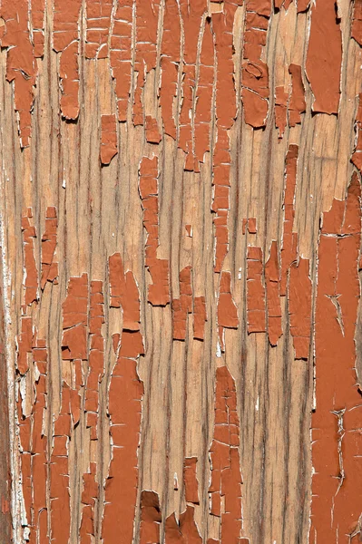 Painted plank — Stock Photo, Image