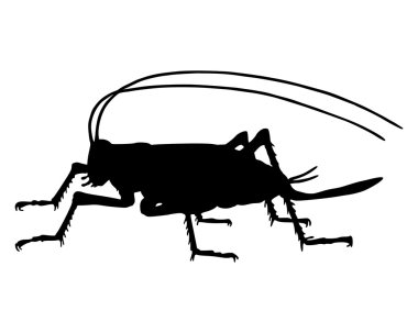Cricket silhouette clipart