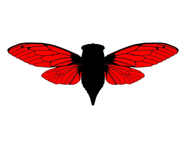 Красивая цикада — стоковое фото