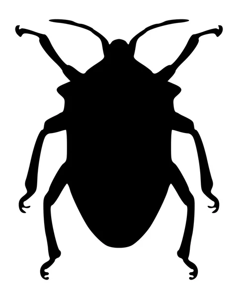 True bug σιλουέτα — Φωτογραφία Αρχείου