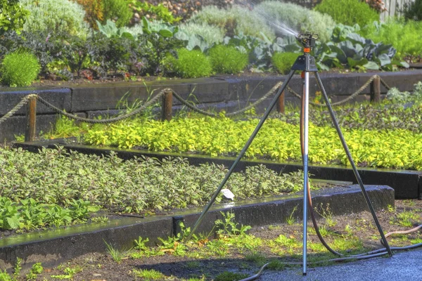 Irrigatore in giardino — Foto Stock