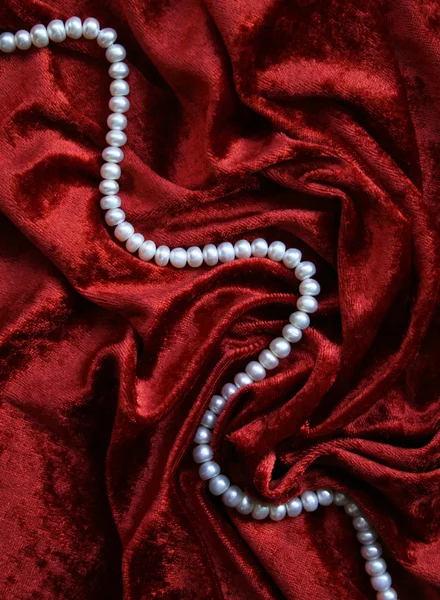 Necklace of white pearls on a velvet — Stock Photo, Image