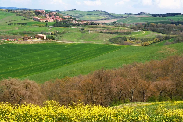 Itália. Toscana, vale do Val D 'Orcia . — Fotografia de Stock