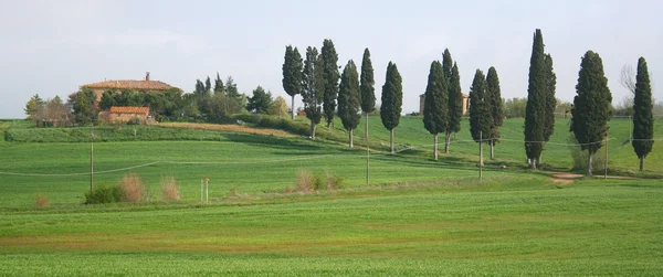 Olaszország. Toscana régió — Stock Fotó