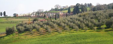 Italy. Tuscany, Val D'Orcia valley clipart