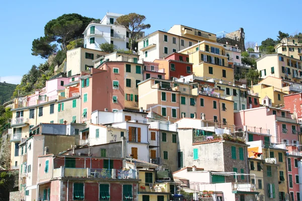 Itália. Cinque Terre. Riomaggiore Fotografia De Stock