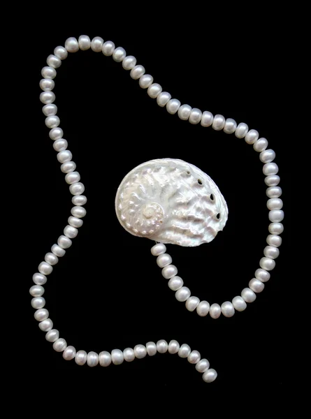 White pearls and nacreous cockleshell — Stock Photo, Image