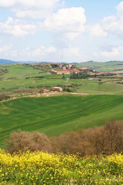 Italy. Tuscany landscape clipart