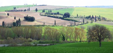 Italy. Tuscany landscape. clipart