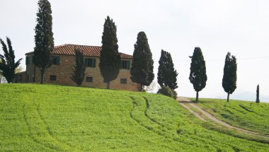 Italy. Tuscany landscape. clipart