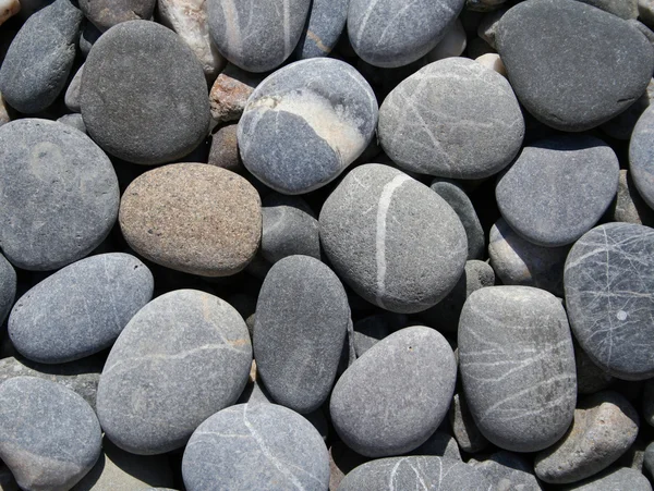 Kumsalda gri çakıl taşları — Stok fotoğraf