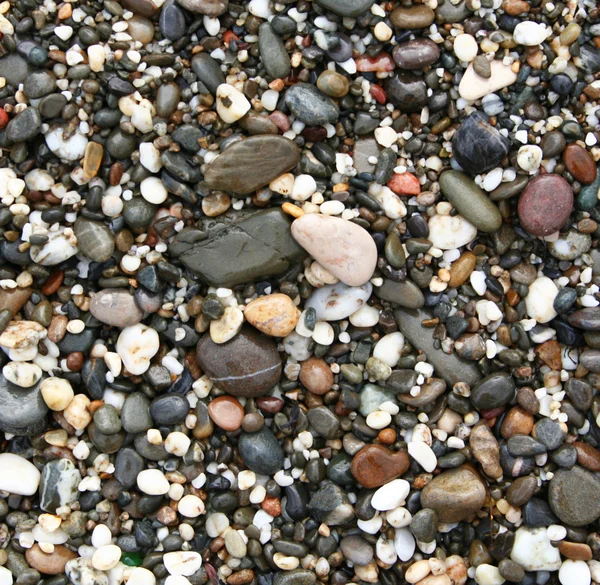 Barevné kameny na pláži — Stock fotografie