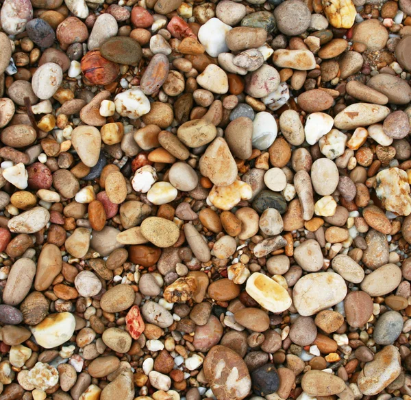 Барвисті камені на пляжі — стокове фото