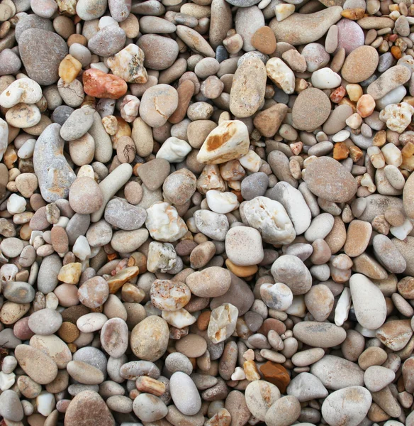 ビーチのカラフルな石 — ストック写真