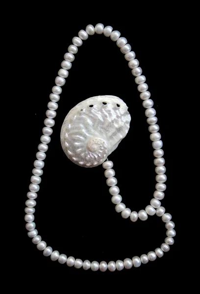 Bílé perly a perleťově cockleshell na černém sametu — Stock fotografie