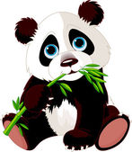 jíst bambus panda