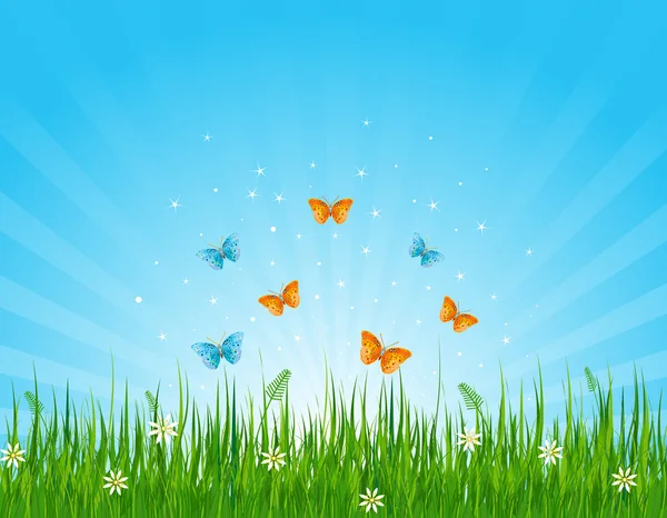 芝生のフィールドと蝶 — ストックベクタ