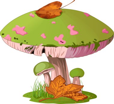 Mushrooms clipart