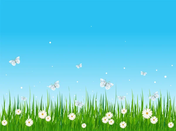 绿草如茵的球场和蝴蝶 — 图库矢量图片