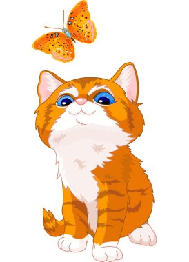 Kitten looking at butterfly clipart