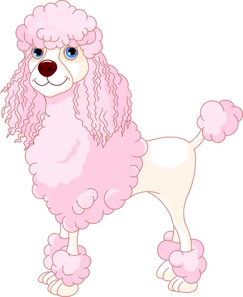 粉红色的狮子狗 — 图库矢量图片