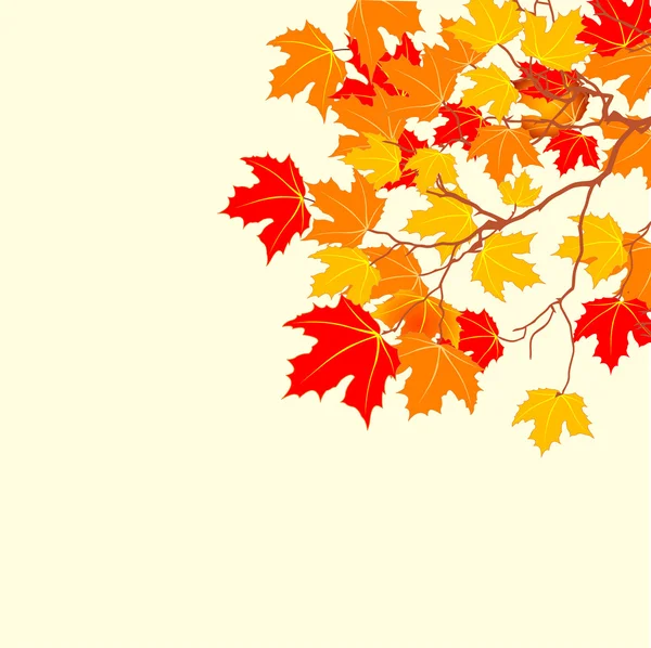 Autunno foglie sfondo — Vettoriale Stock