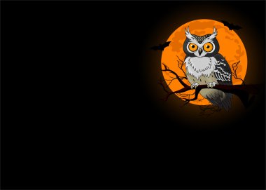 Owl night background clipart